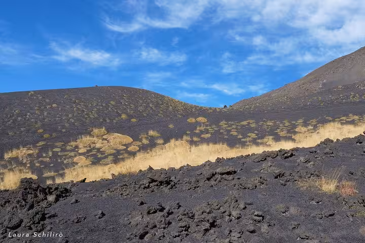 Expansive volcanic terrain of Mount Etna with lush greenery and dramatic slopes under a bright blue sky.