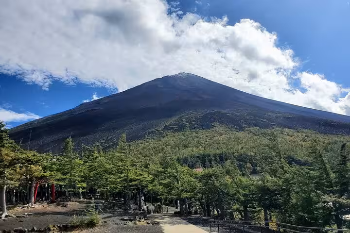Scenic view of Mount Fuji surrounded by lush green forest under a bright blue sky on the 2-day guided tour.