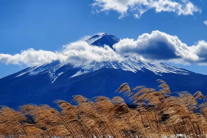 Majestic view of Mount Fuji surrounded by clouds and tall grasses on the Tokyo to Hakone Customizable Private Tour.