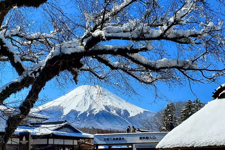 Snow-capped Mount Fuji framed by winter bare branches under a vivid blue sky on a Tokyo Hakone guided tour