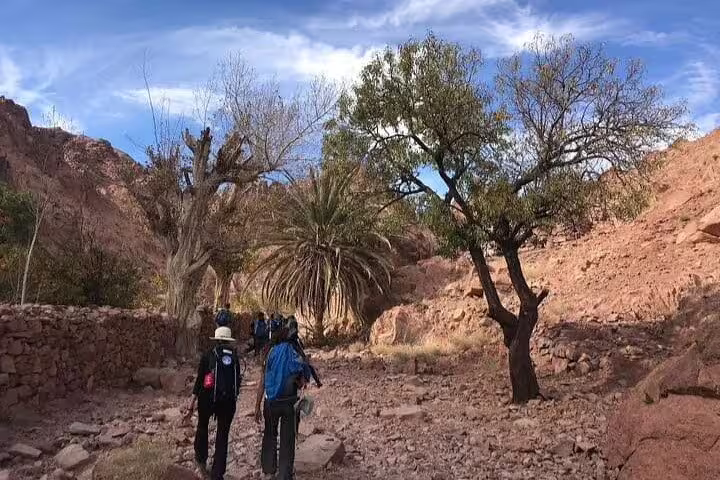 Hikers trekking through Sinai desert valley on Mount Sinai climb from Sharm El Sheikh to St Catherine Monastery