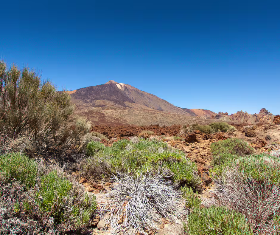 Breathtaking view of Mount Teide's rugged landscape under clear blue skies, ideal for adventure seekers.