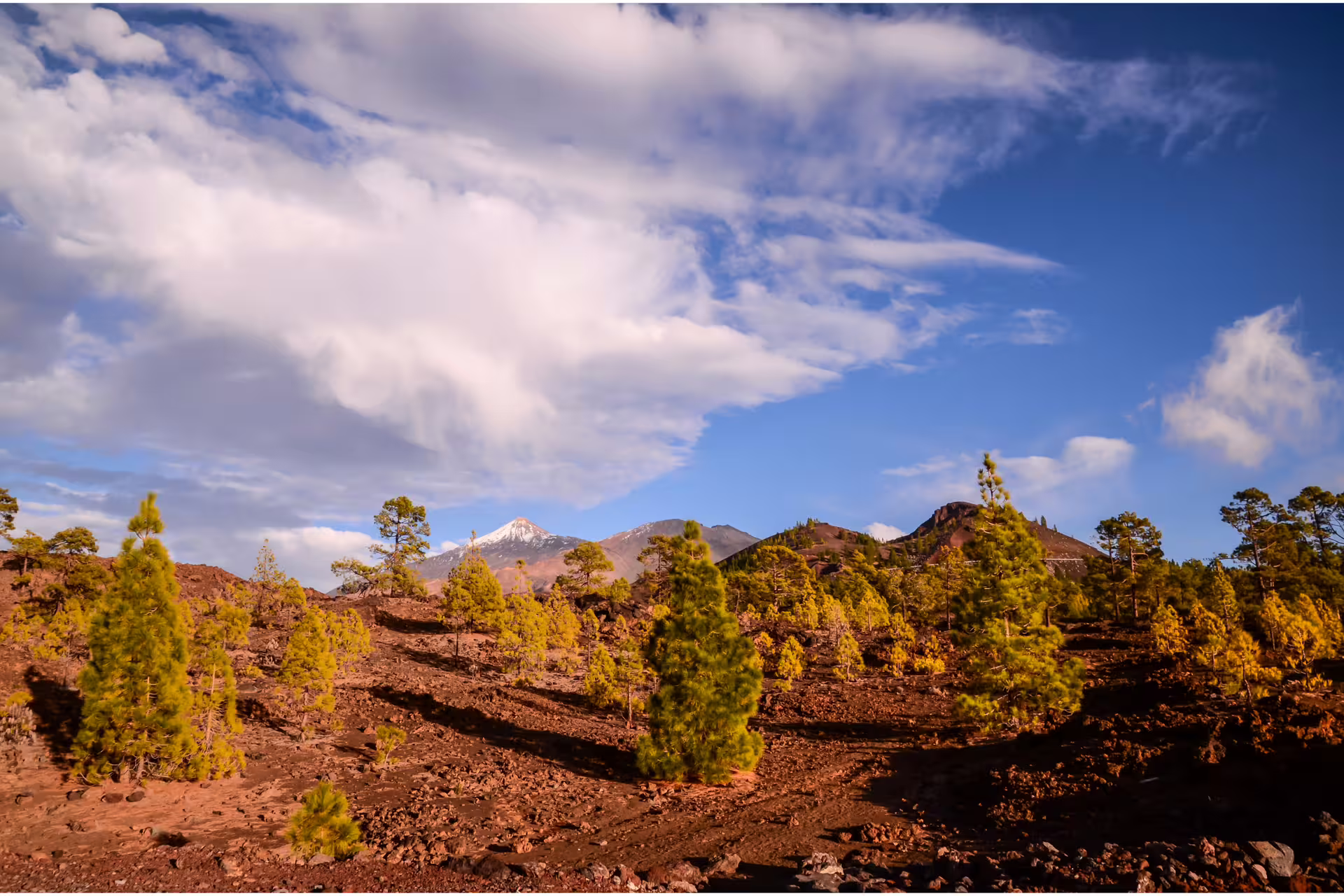 Scenic view of Mount Teide under a blue sky with scattered clouds, surrounded by green pine trees in Tenerife.