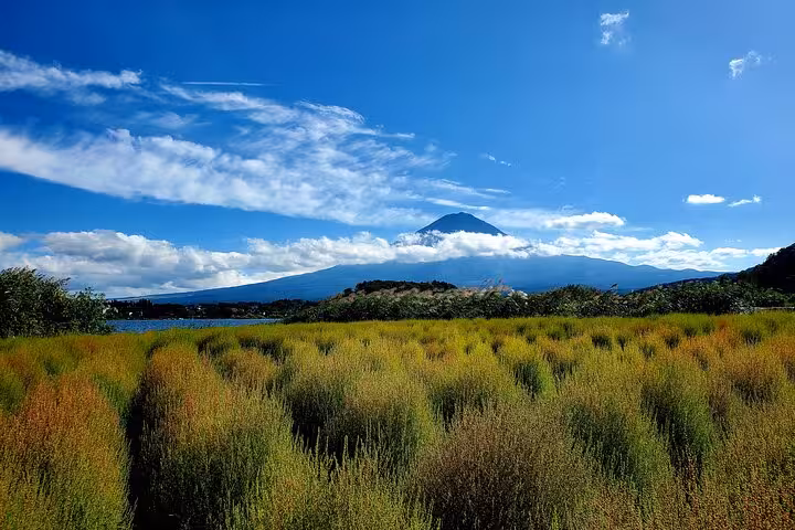 Vibrant field with Mt. Fuji in the background, ideal for a private tour in the scenic Hakone region.