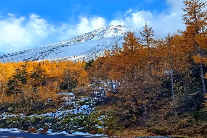 Snow-capped Mt. Fuji overlooking autumn foliage, showcasing the natural beauty of Hakone on a private tour experience.