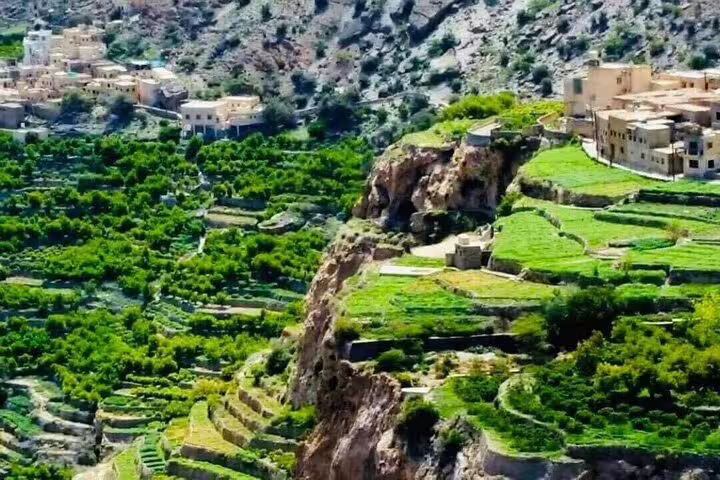 Lush green terraces and traditional buildings on Jebel Akhdar, showcasing stunning landscapes on Muscat transfers.