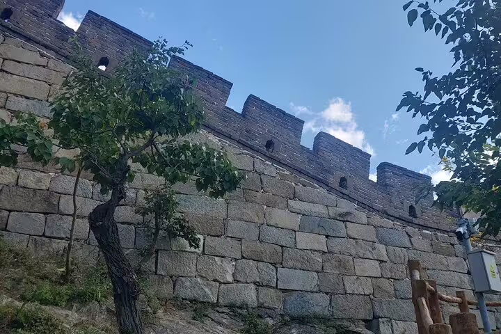 Stone wall section of Mutianyu Great Wall with lush greenery, featured in private day tour with guide and lunch.