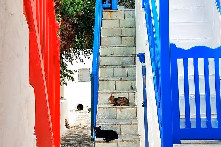 Colorful Mykonos Town alley with blue stairs and cats, a charming stop on a private Mykonos tour