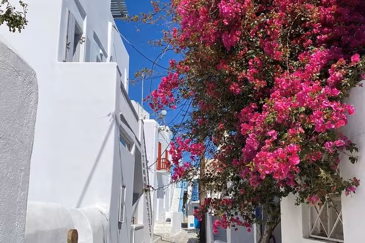 Whitewashed Mykonos Town alley with bright bougainvillea flowers, scenic stop on a private walking tour