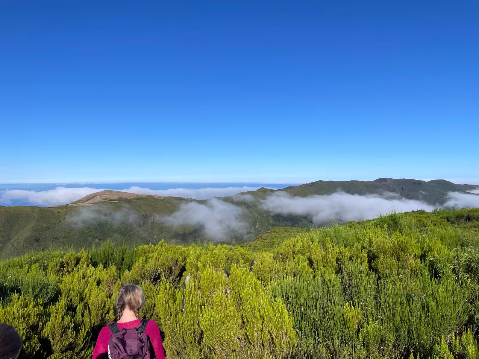 Explorer with a backpack enjoys panoramic views of misty valleys and green hills on The Mystical Hike.