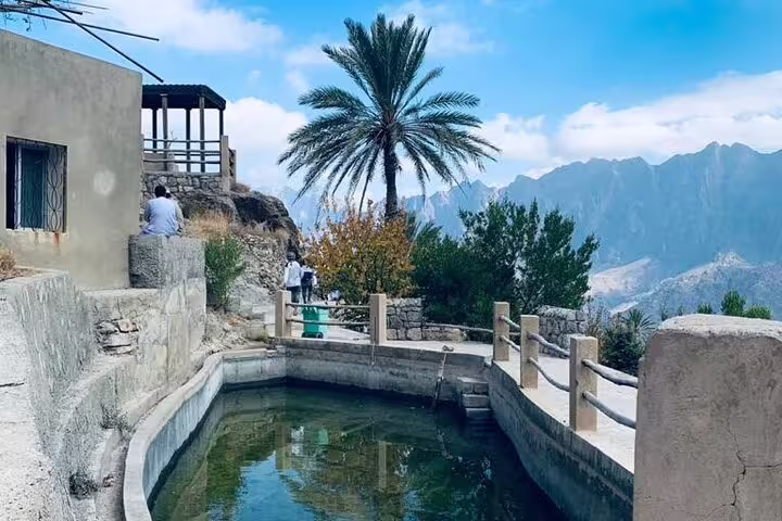 Scenic view of Nakhal Hotspring with palm trees and mountainous backdrop, perfect for a full day tour adventure.