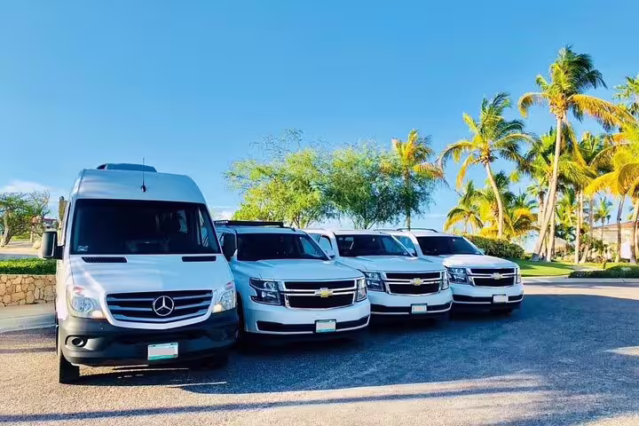 Fleet of white Mercedes Sprinter van and Chevrolet SUVs for Nassau cruise port private transfers