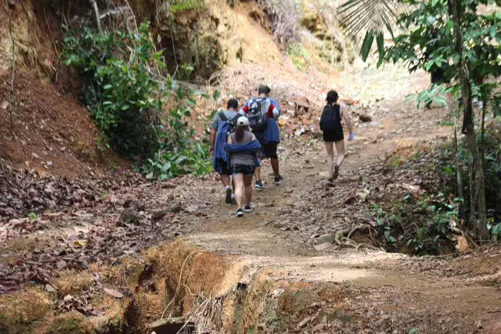 Adventure seekers trekking through dense forest on Nauyaca Waterfall tour, embracing the natural beauty of Costa Rica.