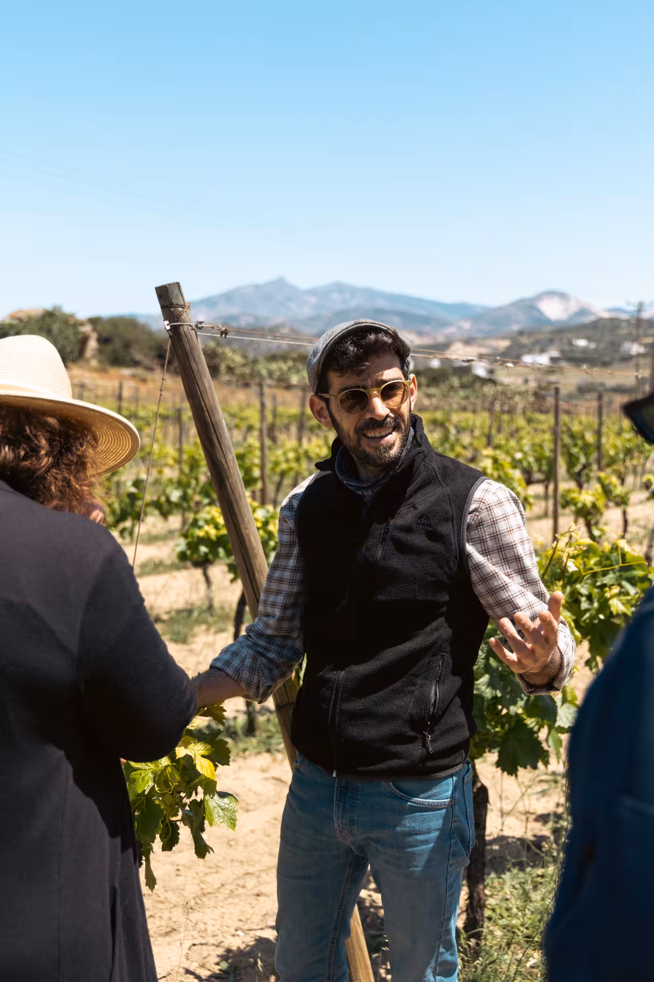 Local guide explains Naxos vineyard on a cheese and wine trail tour with Cyclades mountains in the background