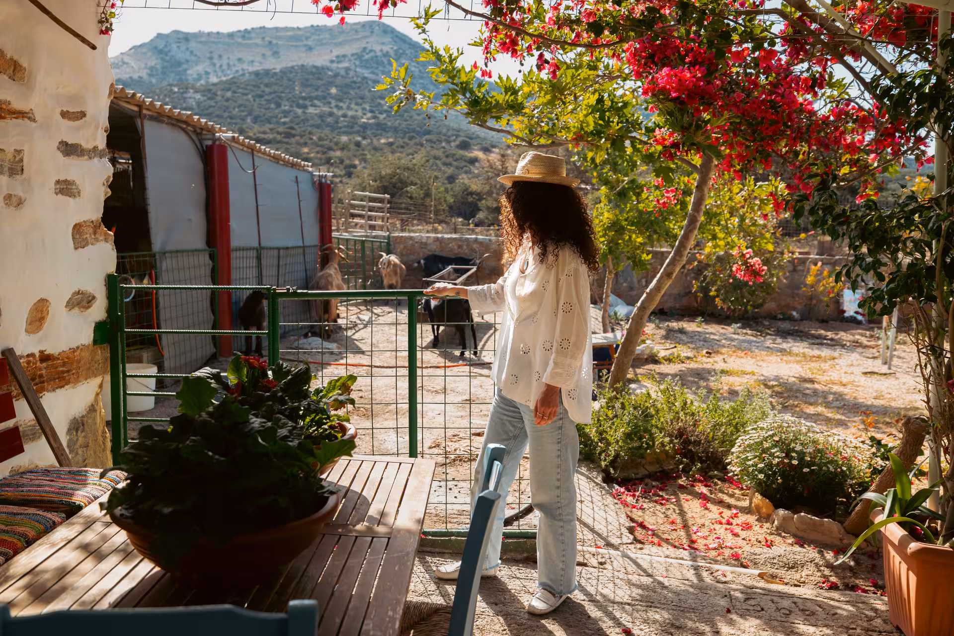 Visitor at Naxos farm with goats under bougainvillea, part of Cheese & Wine Trails agrotourism stop