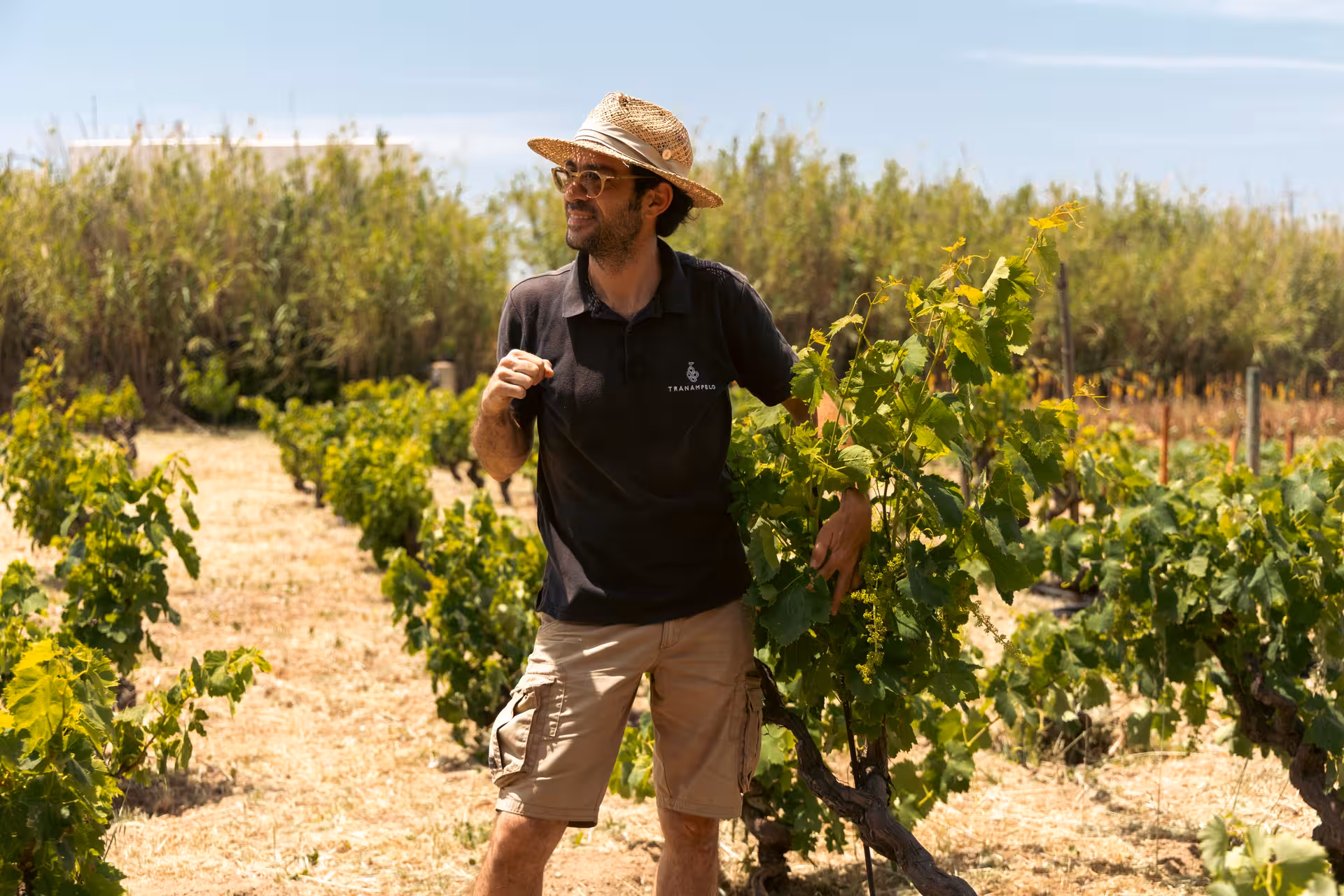 Guide walking through a Naxos vineyard during the Naxos Cheese & Wine Trails, exploring local grapes and wine tasting