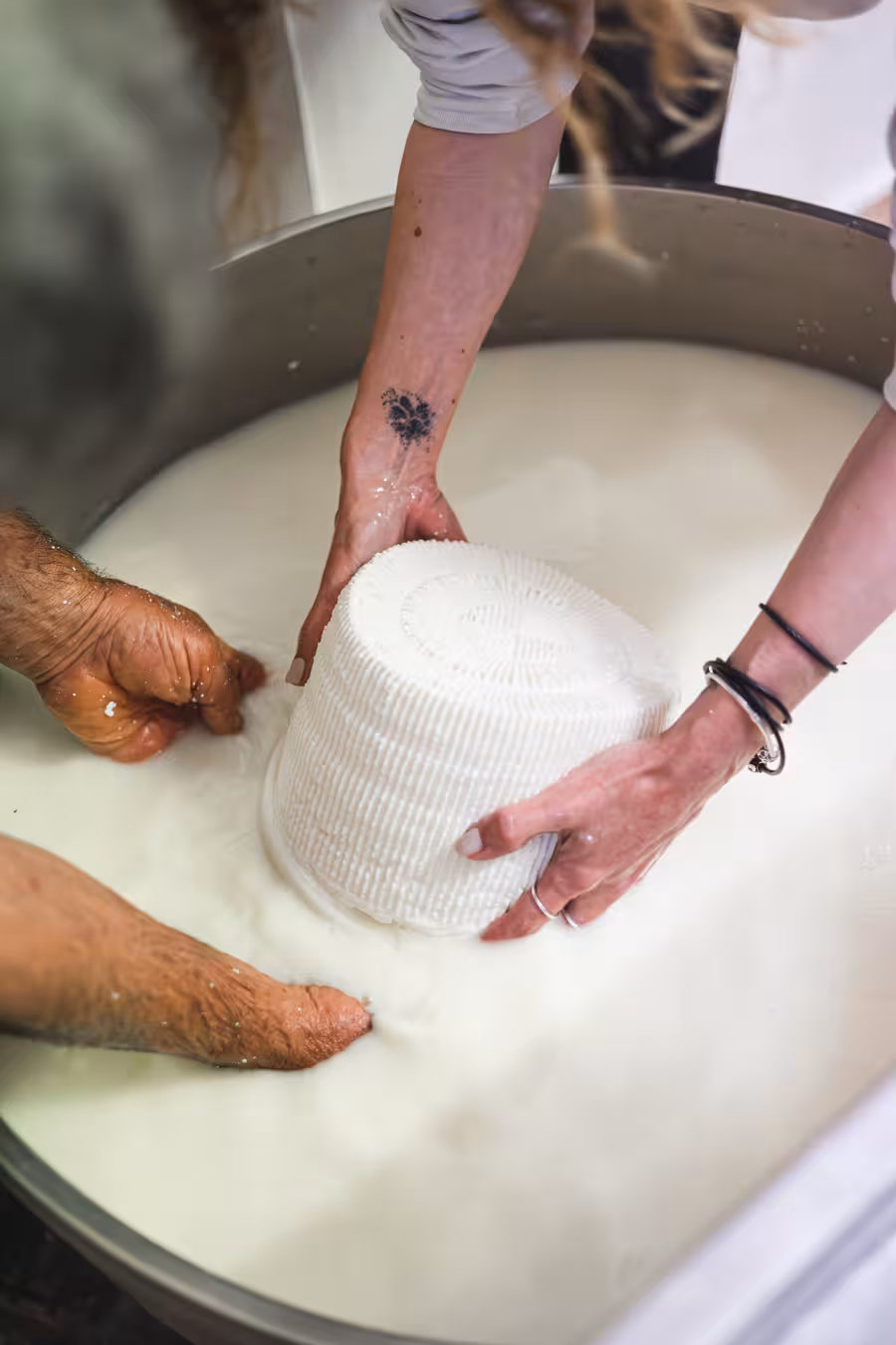Hands lifting a fresh Naxos graviera-style cheese mold from whey on a Naxos cheese and wine trails tour