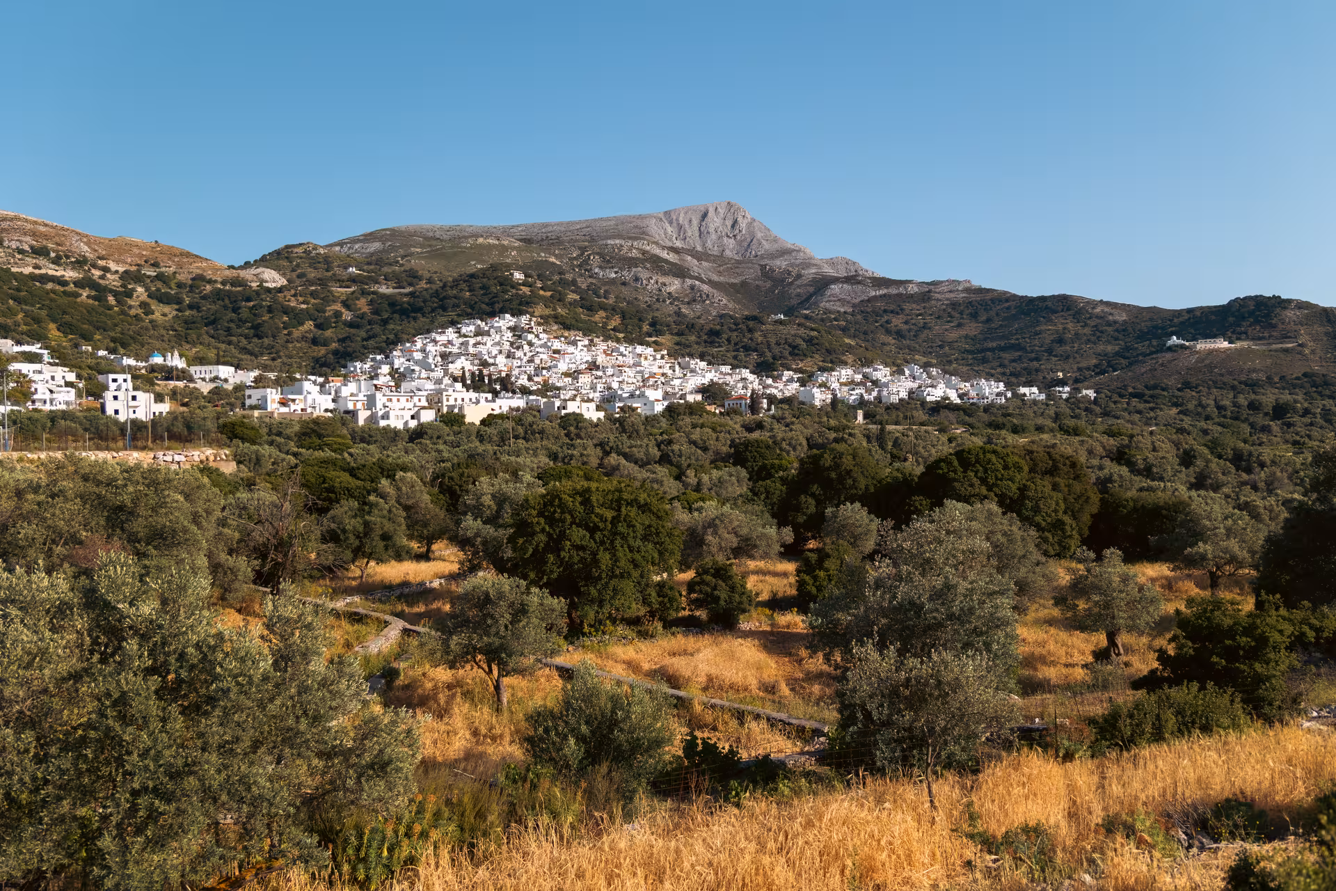 Whitewashed Naxos mountain village above olive groves, scenic stop on Foodie's Favourites Village Tour