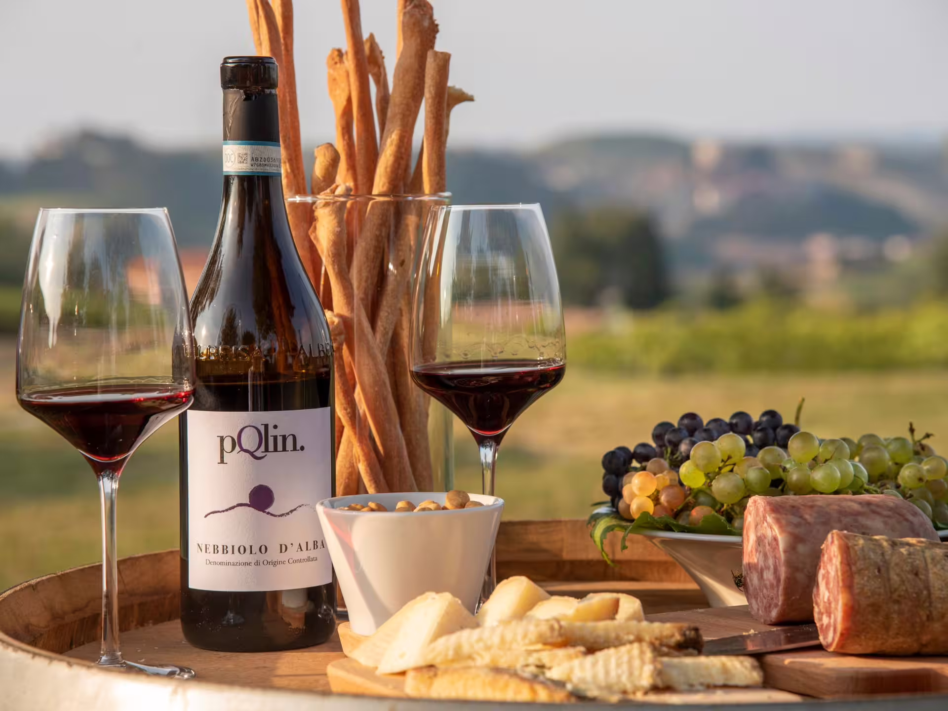 Savor Nebbiolo d'Alba wine with cheese, salami, and grapes overlooking the picturesque vineyards of Langhe.