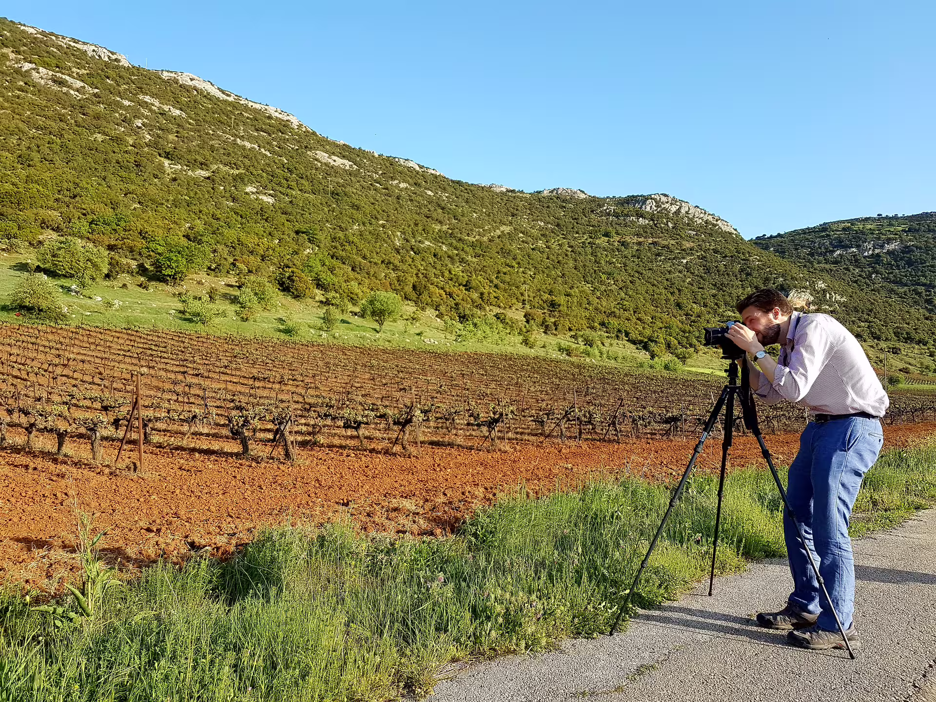 Traveler photographing Nemea vineyards in Greece on private wine tour from Athens with Ancient Nemea and Mycenae