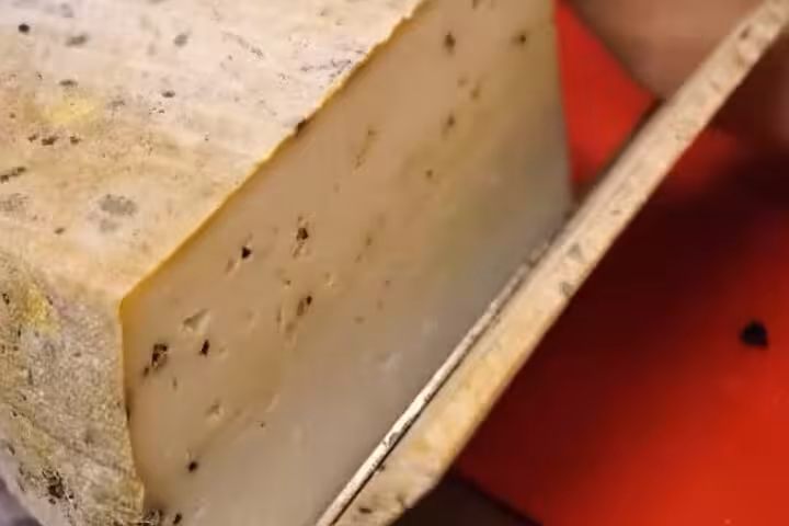 Close-up of aged French cheese with black truffle flecks being sliced in Nice