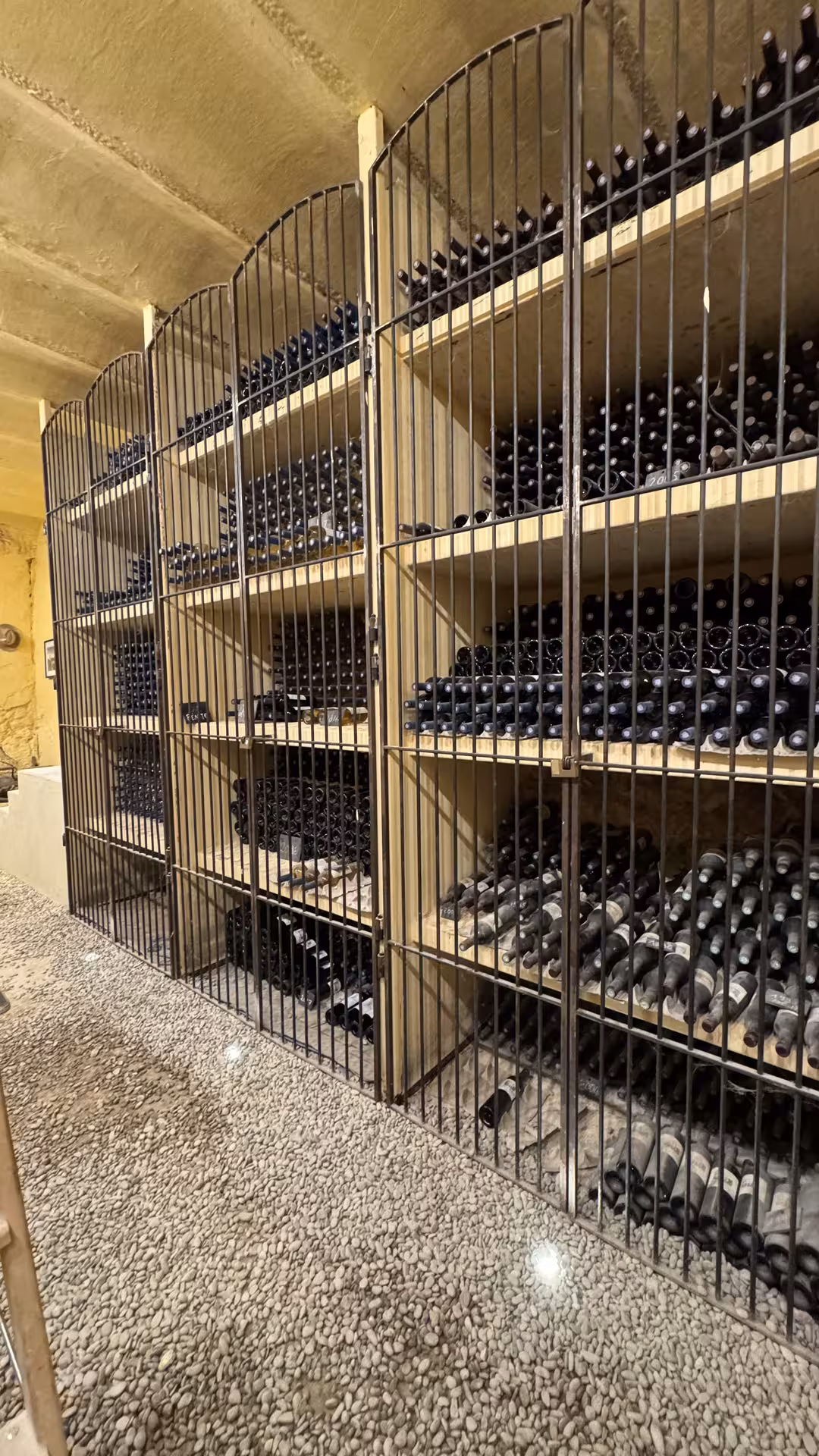 Iron-gated wine cellar with hundreds of vintage bottles stacked on wooden shelves at a legendary vineyard