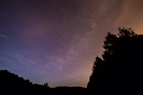 Starry night sky over Romanian forest silhouette with Milky Way and colorful purple hues