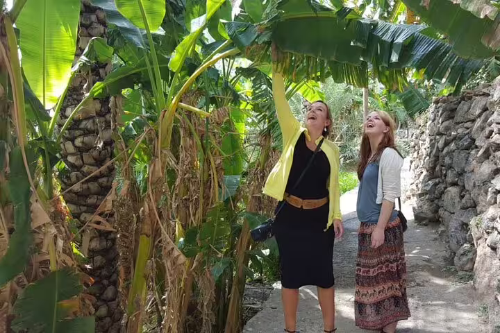 Tourists enjoy lush banana plantations in Misfah Al Abryeen during the Nizwa-Al Hamra Old Village-Misfah Al Abryeen Full Day Tour.