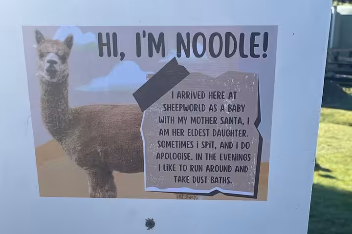 Sign featuring 'Noodle' the alpaca at Sheep World, highlighting unique animal encounters on the Auckland countryside tour.