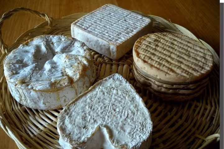 Assorted Normandy cheeses with white rind displayed on a wicker basket tray
