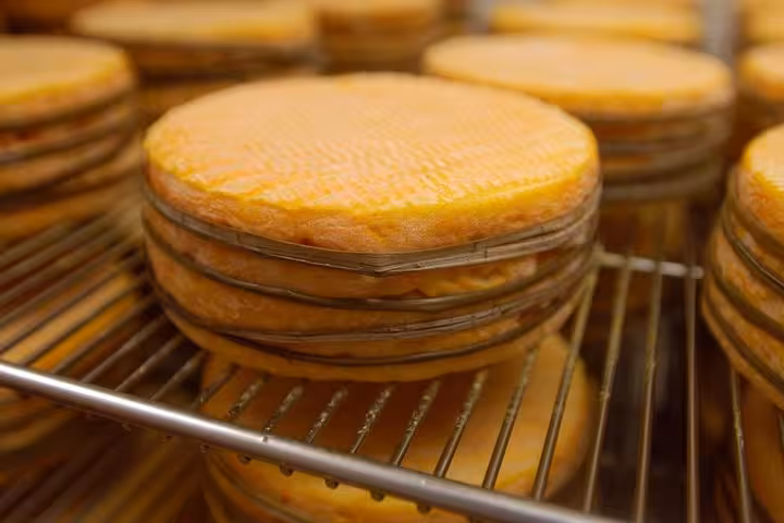 Round Normandy cheese wheels aging on metal racks in a cheese cellar