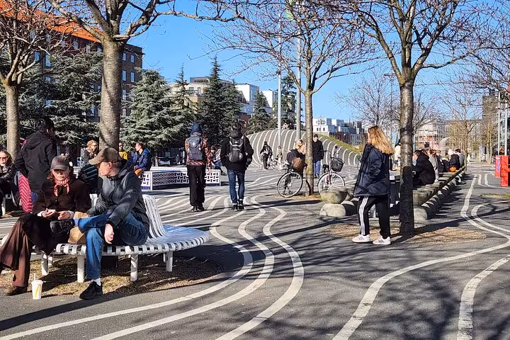 Lively Copenhagen park scene with people relaxing and cycling, capturing the essence of Danish outdoor life.