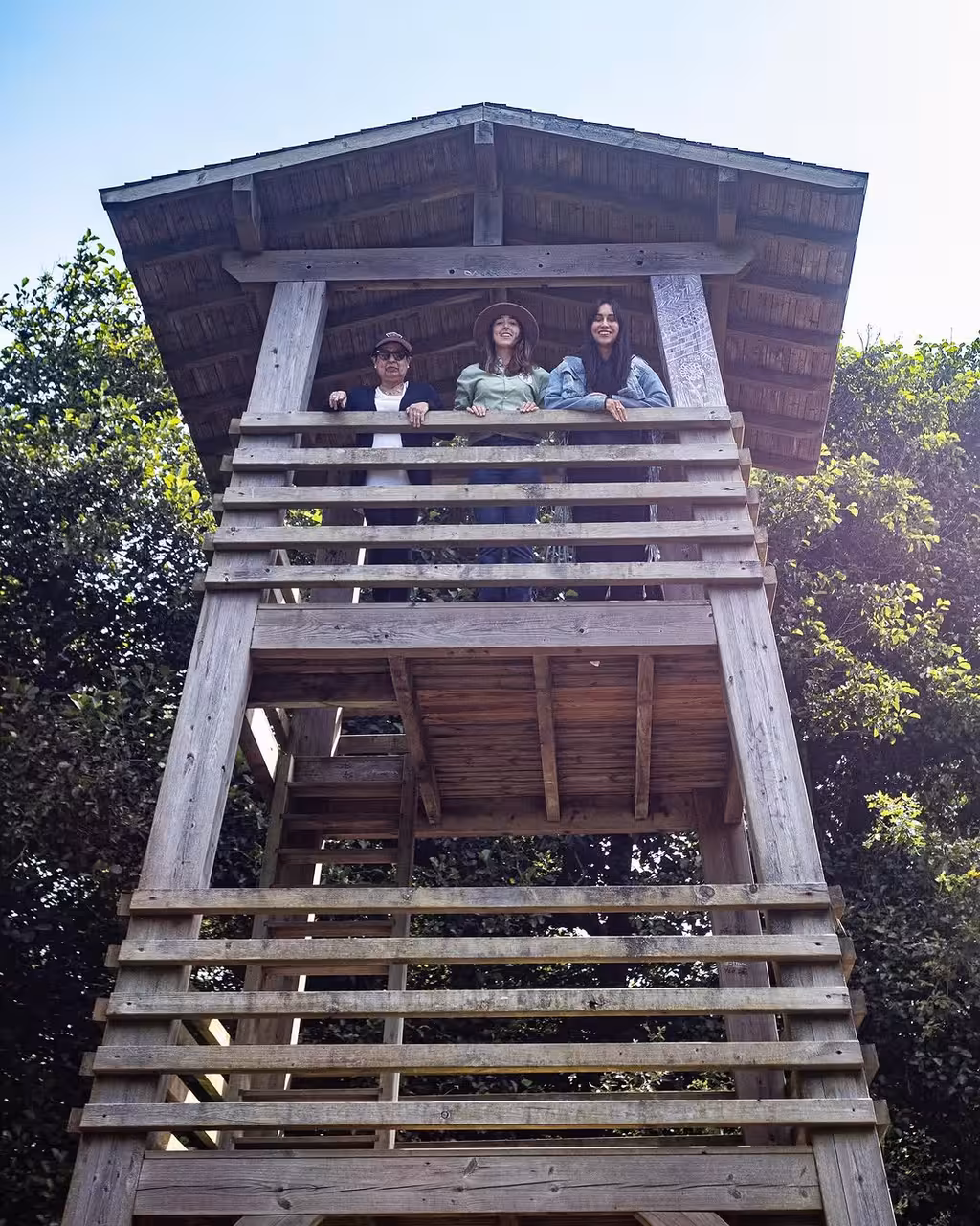 Birdwatchers on a wooden observation tower scanning treetops on a guided North Coast birdwatching adventure tour