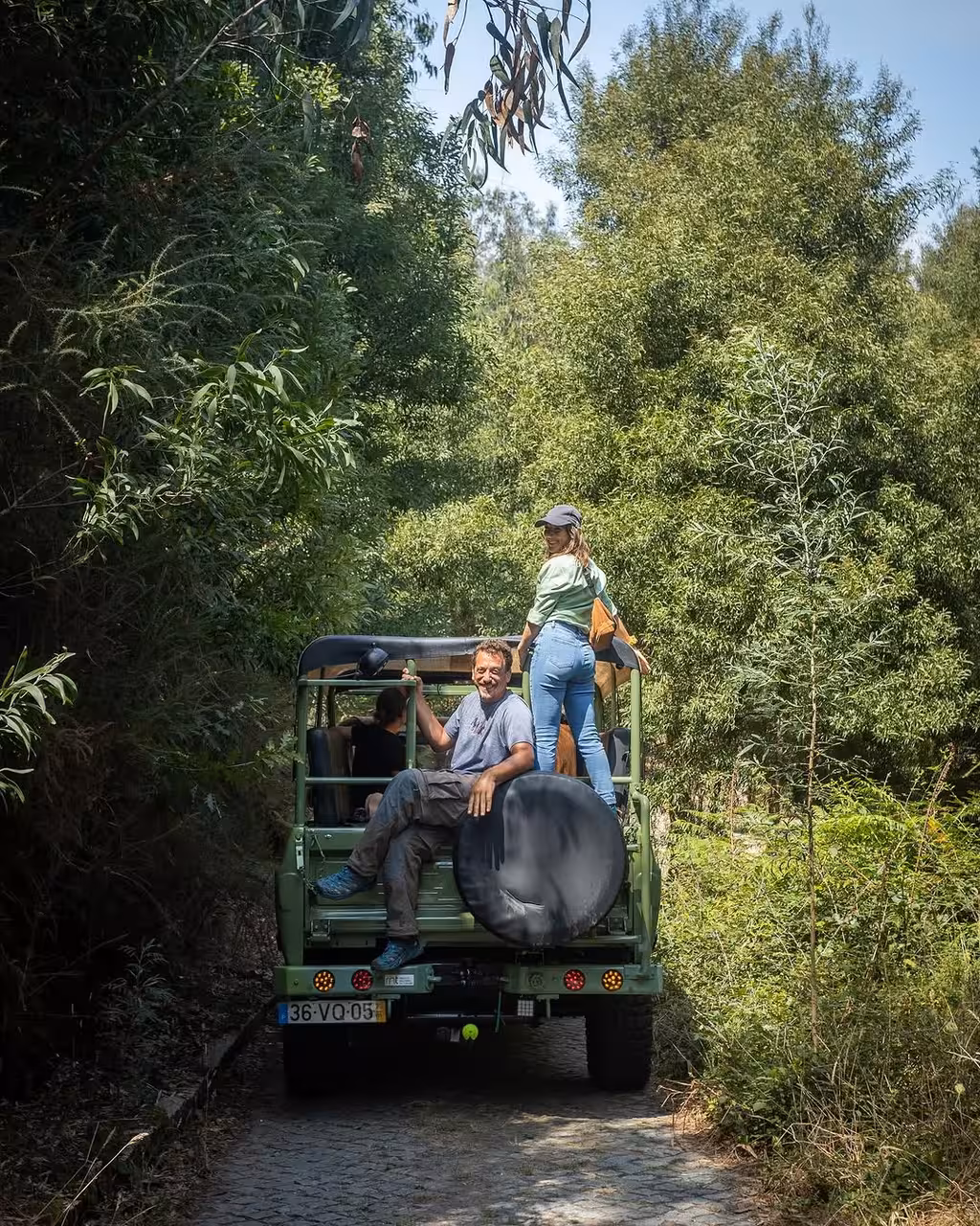 Open-top safari jeep driving through coastal forest on a North Coast birdwatching adventure wildlife spotting tour