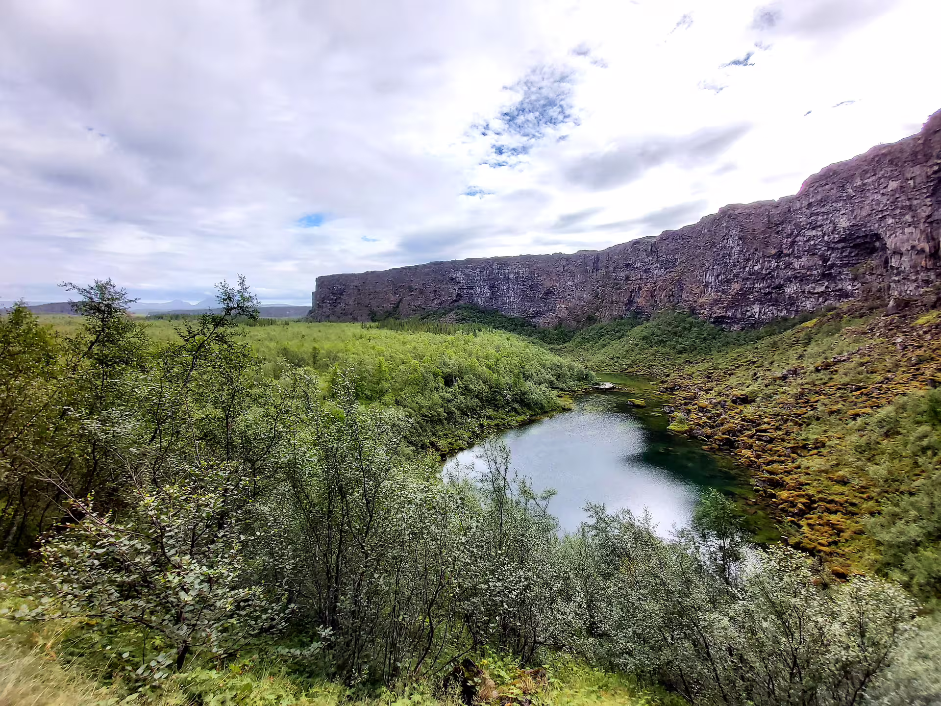 Lush green canyon with a calm river winding through birch trees beneath dramatic basalt cliffs in North Iceland