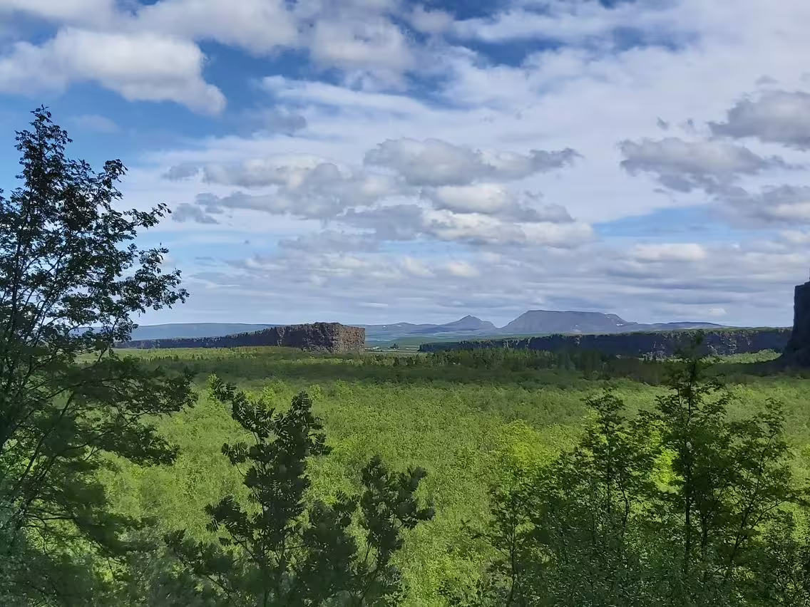 Lush green forest landscape with dramatic basalt cliffs and flat-top mountains under cloudy blue sky in North Iceland