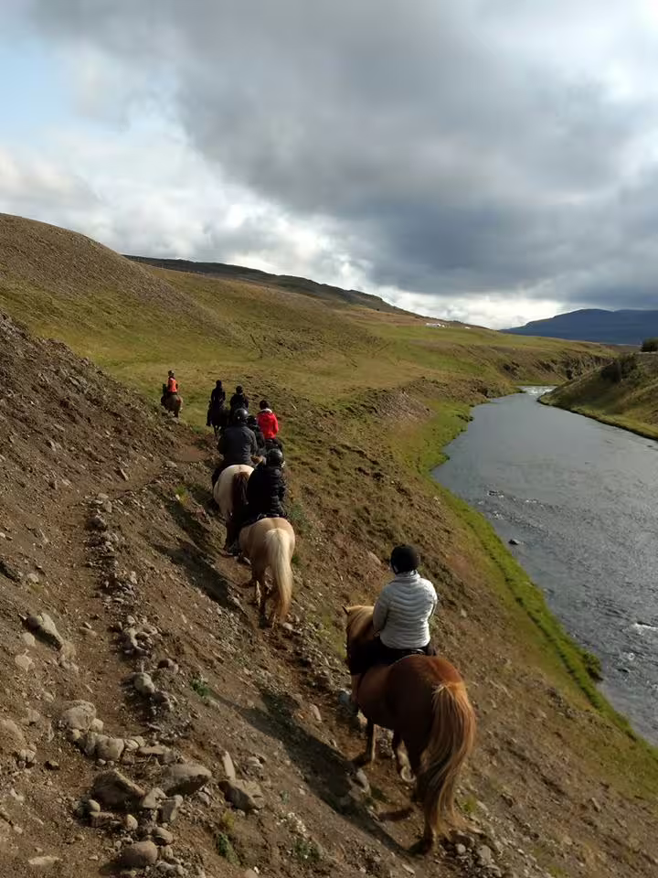 Group of riders on Icelandic horses trekking along a river valley trail in North Iceland