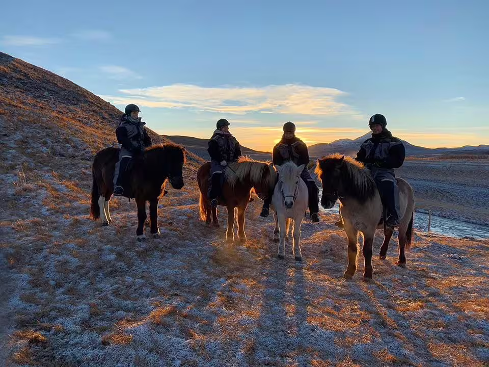 Four riders on Icelandic horses at sunset in North Iceland's frost-covered highland landscape