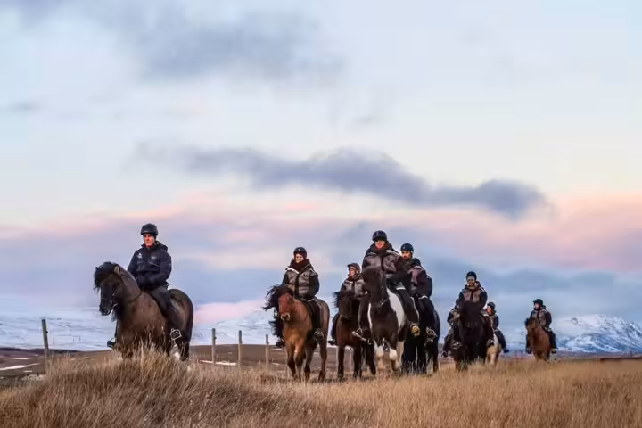 Group of riders on Icelandic horses crossing golden grasslands with snow-capped mountains at dusk