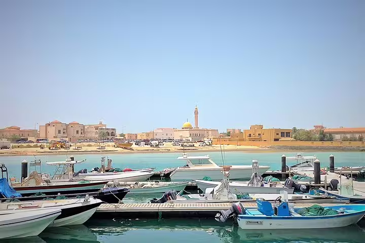 Scenic view of boats docked at a vibrant marina, with a picturesque town in the background on the North Qatar tour.