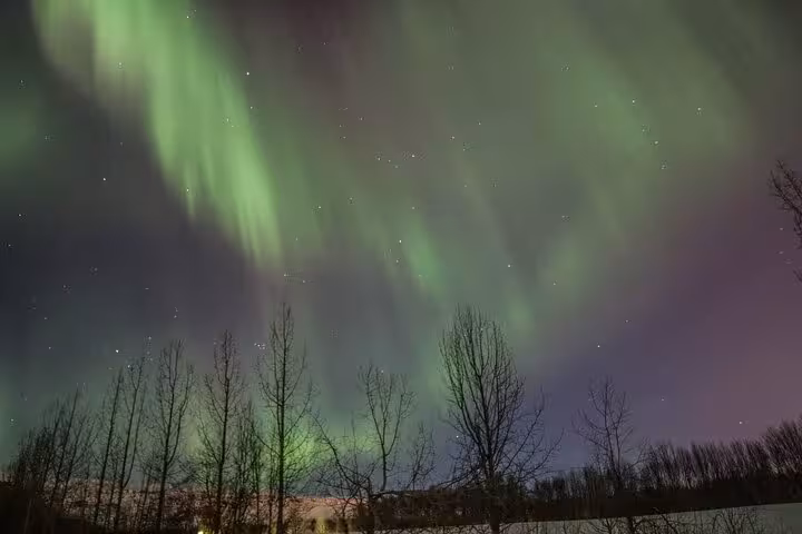 Ethereal green auroras dance above winter trees in Akureyri, capturing the magic of a 4x4 Northern Lights tour.