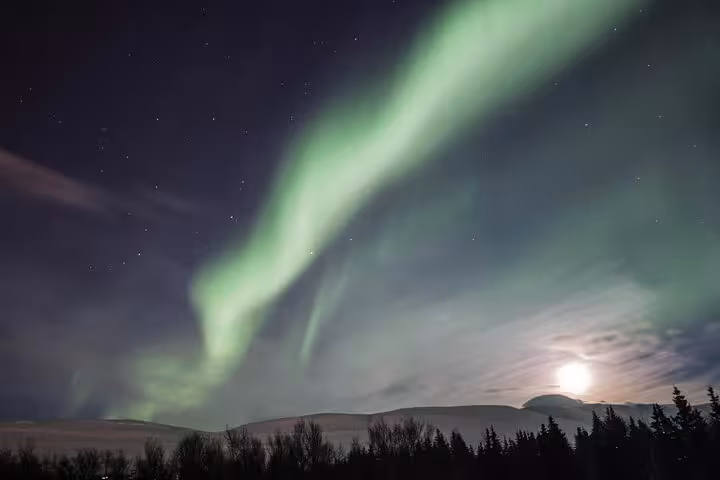 Mesmerizing Northern Lights dancing above snow-covered trees under a full moon near Akureyri on a classic tour.