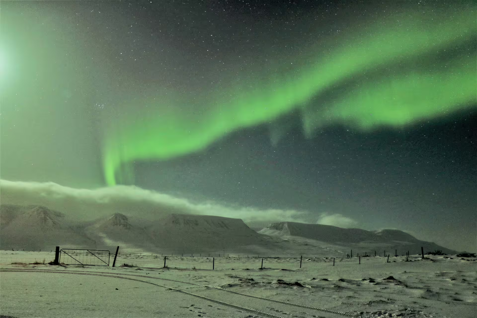 Vivid green northern lights aurora borealis over snowy mountains and fenced fields in North Iceland