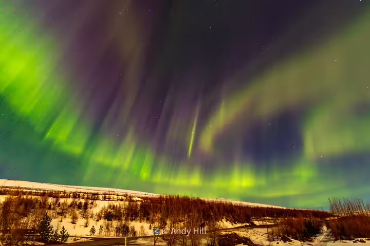 Vivid green and purple northern lights aurora borealis dancing over snowy Akureyri Iceland landscape at night