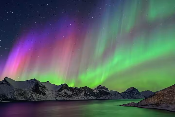 Vibrant green and purple northern lights aurora borealis over snowy mountains and fjord in Iceland