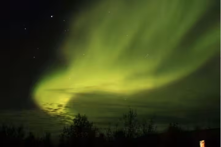 Vibrant green northern lights aurora borealis sweeping across night sky over silhouetted trees in Iceland
