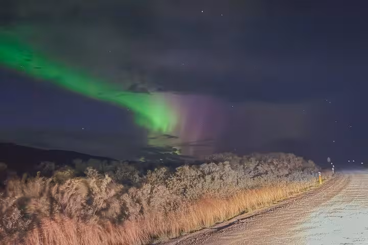 Vivid green and pink aurora borealis dancing over a frost-covered road and trees at night