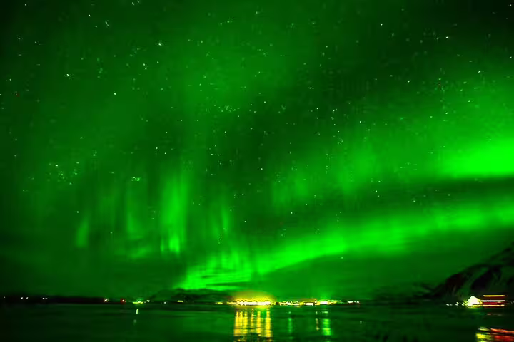 Vivid green aurora borealis dancing over Reykjavik harbor waters on a northern lights night cruise