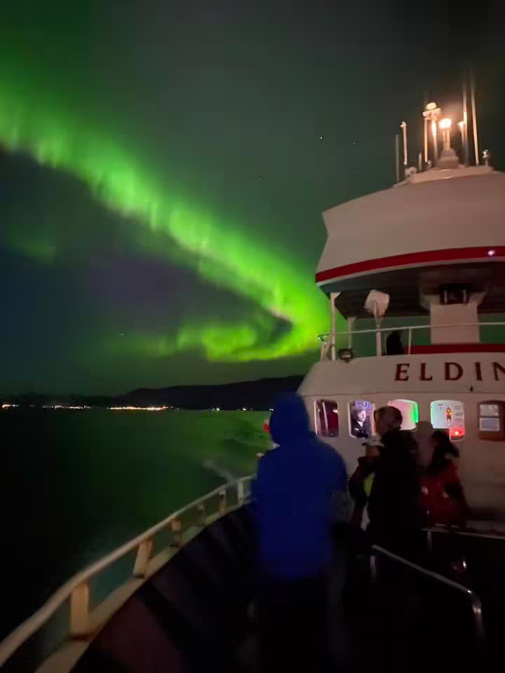 Passengers on the Elding boat watching vibrant green northern lights aurora borealis over Reykjavik Bay at night