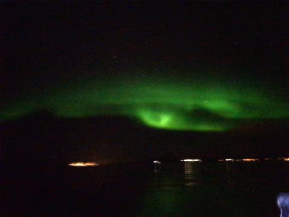 Vivid green aurora borealis dancing over dark water and distant lights in Reykjavik, Iceland